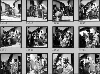 Bumba Meu Boi, festa popular