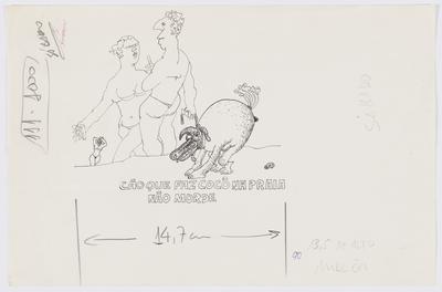 Cão que faz cocô na praia não morde