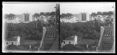 Bairro do Catete; palmeiras ao fundo