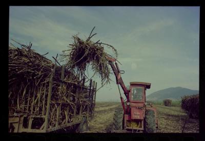 Produção de filme institucional sobre usinas de açúcar