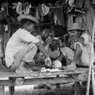 Rancho de trabalhadores - Ilha de Marajó