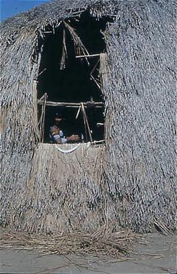 Série Xingu - Maloca xinguana