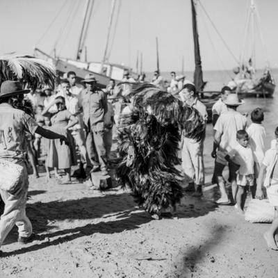 Bumba meu boi, festa popular