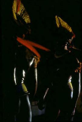 Série Xingu - Festa do Jawari