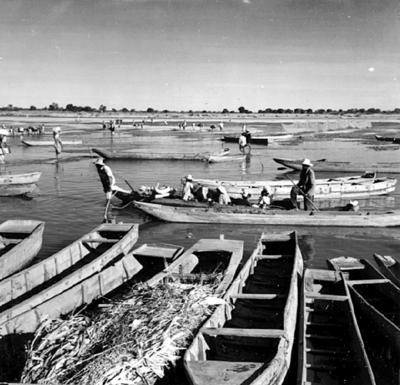 Cena do Rio São Francisco