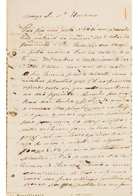 [Carta de Anders Fredrick Regnell a João Barbosa Rodrigues, escrita de Caldas em 14 de novembro de 1881]