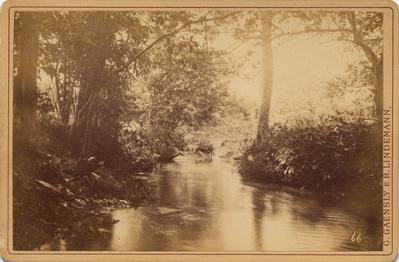 Região do Rio Vermelho