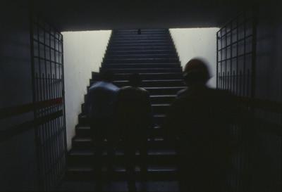 Jogo São Paulo x Botafogo