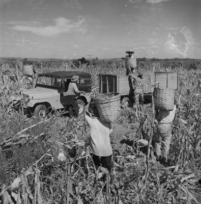 Campanha publicitária da agência P.A. Nascimento Acar para o jeep Willys-Overland