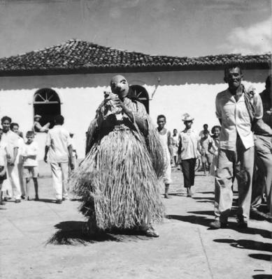 Bumba meu boi, festa popular