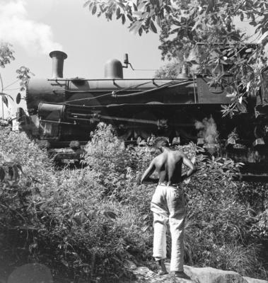 Série "Estrada de Ferro Tocantins"