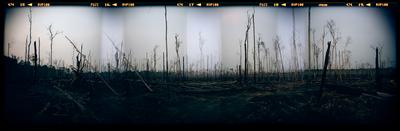 Brasil x Argentina (Amazônia e Patagônia) #1