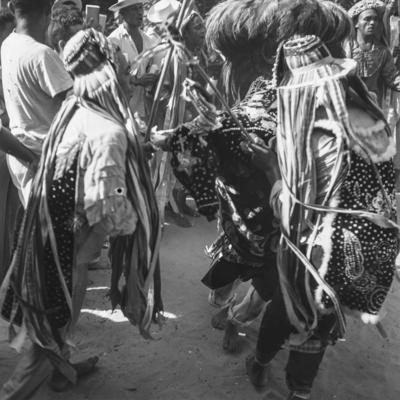 Bumba meu boi, festa popular