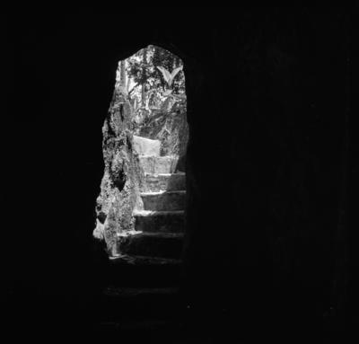 Jardim do Parque Lage, destaque para gruta