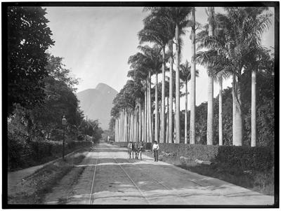 Rua Jardim Botânico