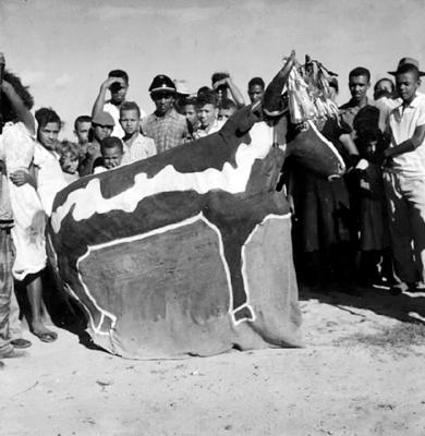 Bumba Meu Boi, festa popular