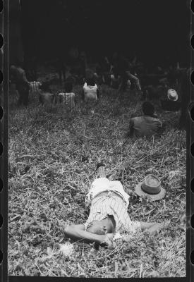 Festa ao Senhor Bom Jesus dos Navegantes