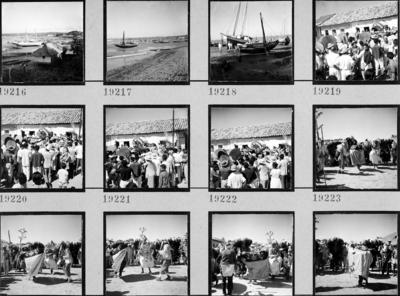 Bumba meu boi, festa popular