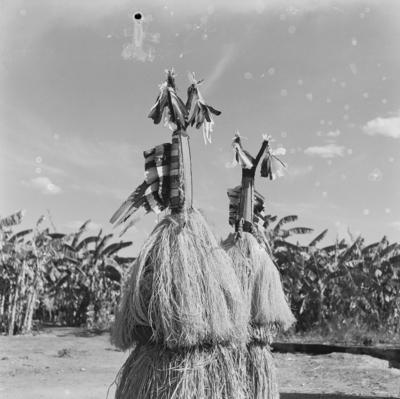 Ritual ou Dança de Aruanã do povo Karajá