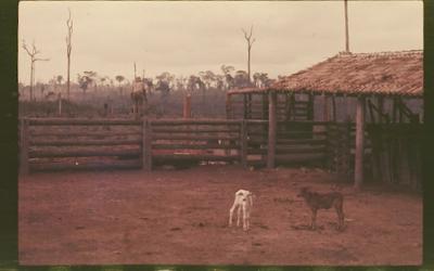 Filmagens de "Iracema: uma transa amazônica", com direção de Jorge Bodanzky e Orlando Senna