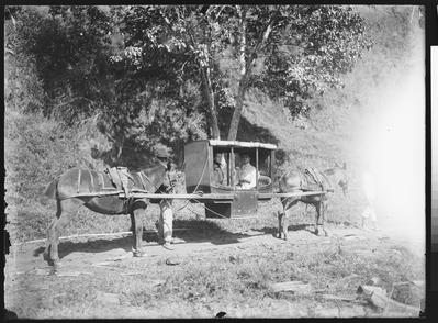 Liteira puxada por burros