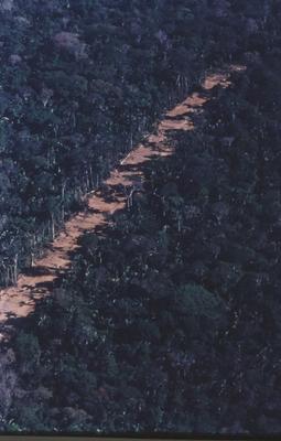 Vista aérea de estrada em meio à floresta