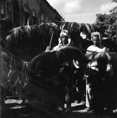 Bumba meu boi, festa popular