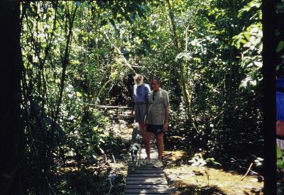 Projeto "Navegar Amazônia"