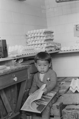 Ricardo Akio Nacamura