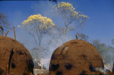 Série Rio São Francisco