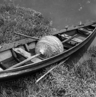 Ilha de Marajó, látex