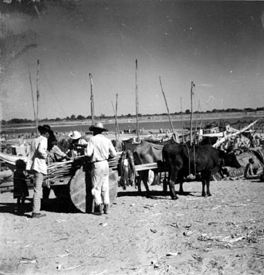 Romeiros em torno de um carro de boi com peixes