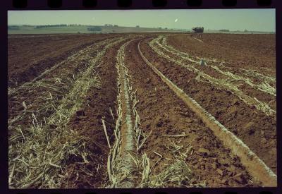 Produção de filme institucional sobre usinas de açúcar