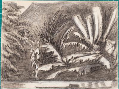 Bananas overhanging the ledge of Williams' bath - by Moonlight