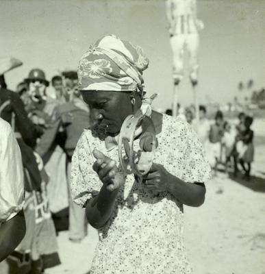 Bumba Meu Boi, festa popular