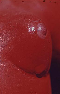 Série Estatuária de Umbanda