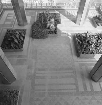 Jardim suspenso do Edifício da Petrobras, projetado por Burle Marx