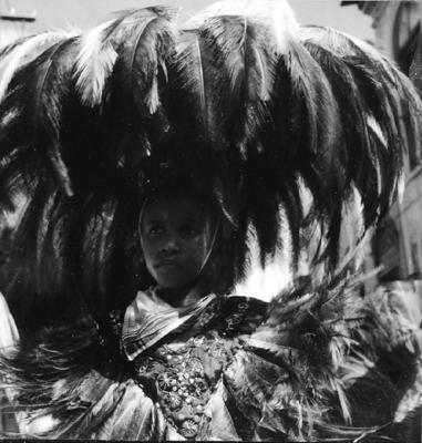 Bumba meu boi, festa popular