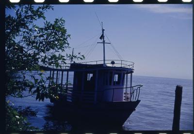 Projeto "Navegar Amazônia"