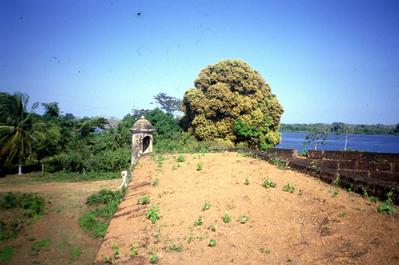 Ruínas do Forte Príncipe da Beira