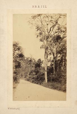 Estrada nos arredores do Rio de Janeiro