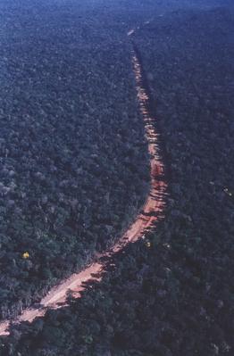 Vista aérea de estrada em meio à floresta