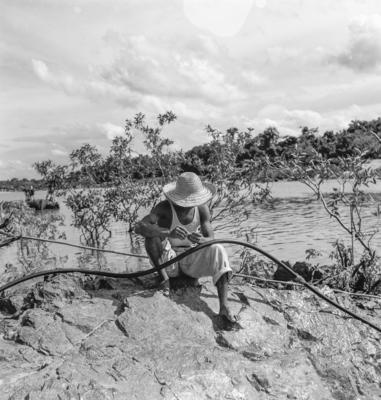 Garimpo de diamantes na Boca do Tauiri