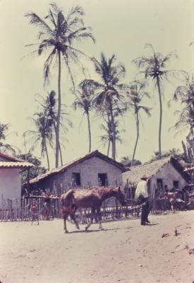 Vila de pescadores no litoral sul, próximo ao Quilombo de Sibaúma