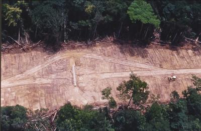 Vista aérea de estrada em meio à floresta