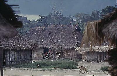 Série Xingu - Aldeia xinguana
