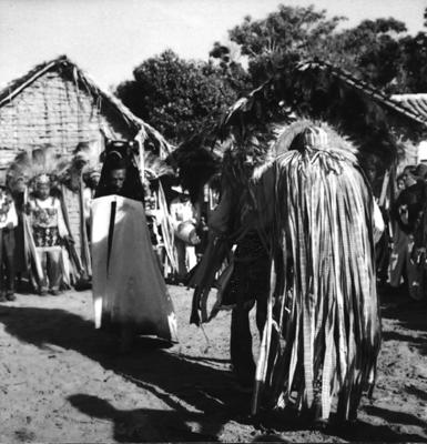 Bumba meu boi, festa popular