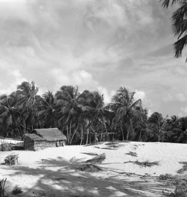 Jangadas e jangadeiros