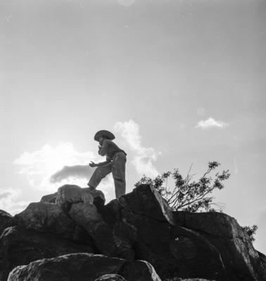 Série "Estrada de Ferro Tocantins"