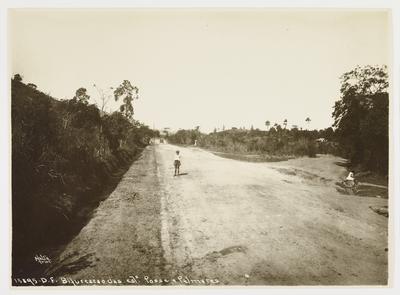 Bifurcação entre as estradas da Posse e de Palmares